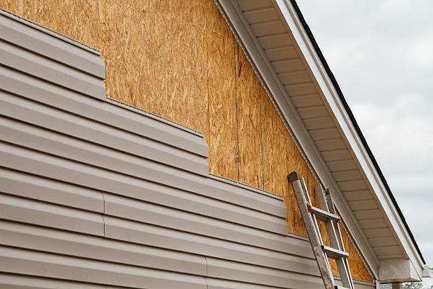 Best Storm Damage Siding Repair  in Roaming Shores, OH